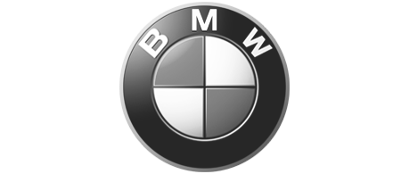 Logo Item